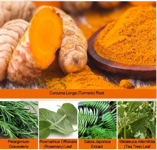LeDoche Natural Hair Density Essential Oil